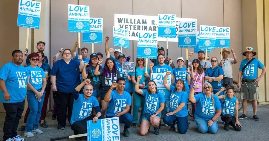 UPTE-CWA Vets